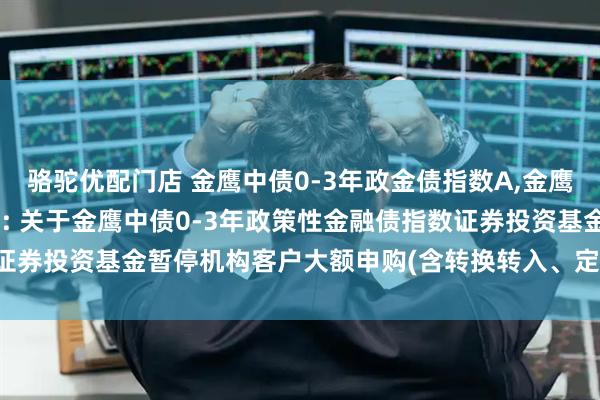 骆驼优配门店 金鹰中债0-3年政金债指数A,金鹰中债0-3年政金债指数C: 关于金鹰中债0-3年政策性金融债指数证券投资基金暂停机构客户大额申购(含转换转入、定期定额投资)的公告