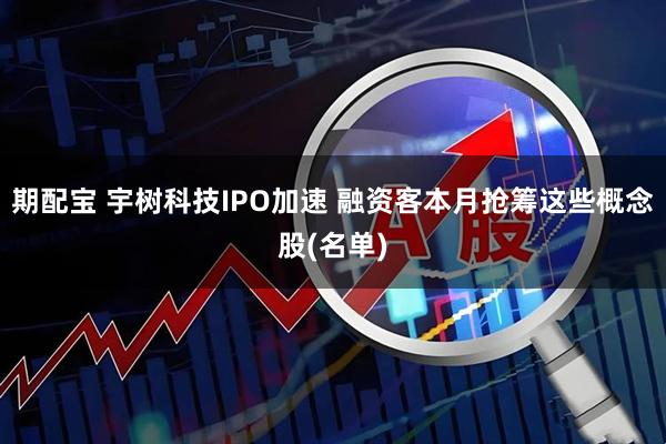 期配宝 宇树科技IPO加速 融资客本月抢筹这些概念股(名单)